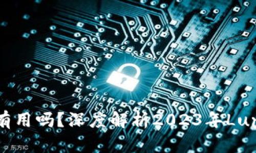 tp钱包中的Luna还有用吗？深度解析2023年Luna项目的现状与未来
