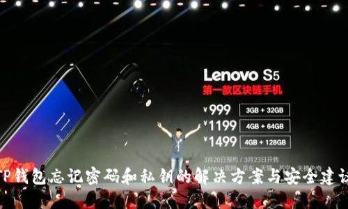 TP钱包忘记密码和私钥的解决方案与安全建议