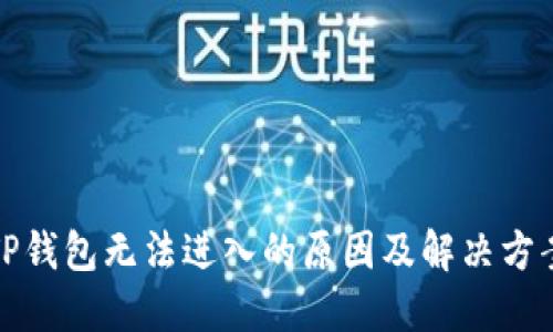 TP钱包无法进入的原因及解决方案