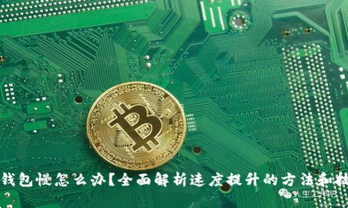TP钱包慢怎么办？全面解析速度提升的方法和技巧