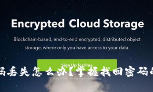 TP钱包密码丢失怎么办？掌握找回密码的有效方法