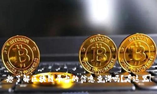 想了解区块链平台的信息查询吗？看这里！