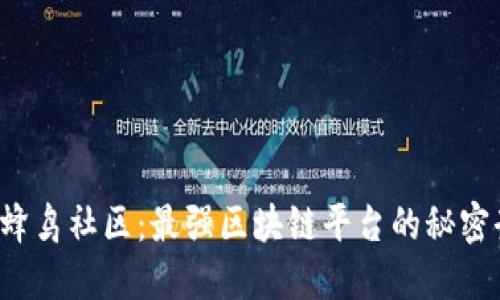 探索蜂鸟社区：最强区块链平台的秘密武器！