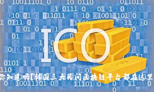 你知道吗？韩国三大民间区块链平台都在这里！