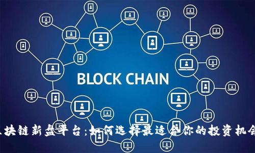 区块链新盘平台：如何选择最适合你的投资机会？