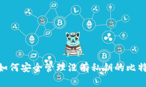 tp钱包：如何安全管理没有私钥的比特币钱包？