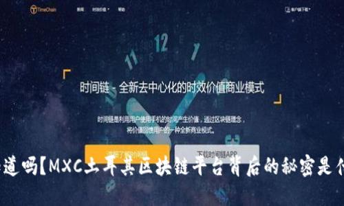 你知道吗？MXC土耳其区块链平台背后的秘密是什么？