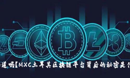 你知道吗？MXC土耳其区块链平台背后的秘密是什么？