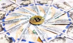 TP钱包如何将数字资产转回