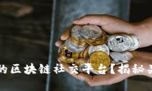 如何开发一个成功的区块链社交平台？揭秘关键技术与商业模式