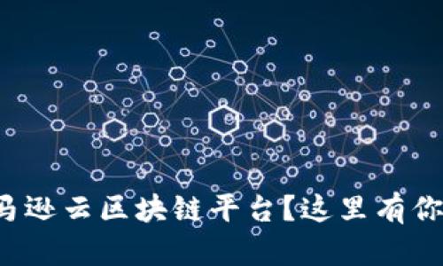 如何快速上手亚马逊云区块链平台？这里有你需要的全部信息！