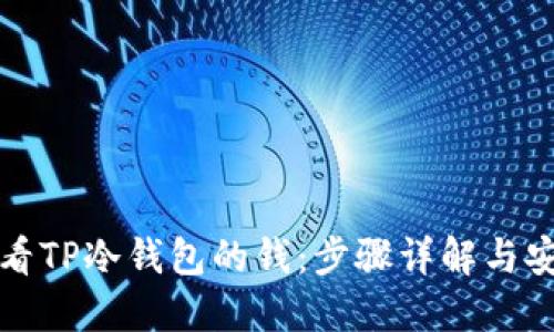 如何查看TP冷钱包的钱：步骤详解与安全技巧