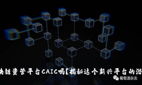 你知道区块链资管平台CAIC吗？揭秘这个新兴平台的潜力与应用！