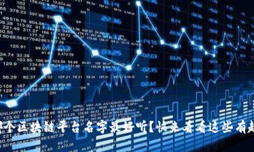 你觉得哪个区块链平台名字最好听？快来看看这些有趣的选择！