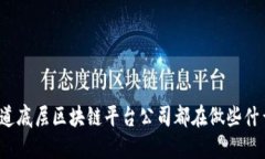 你知道底层区块链平台公