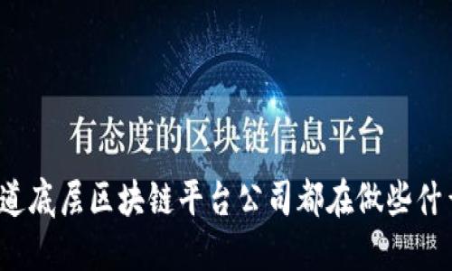 你知道底层区块链平台公司都在做些什么吗？