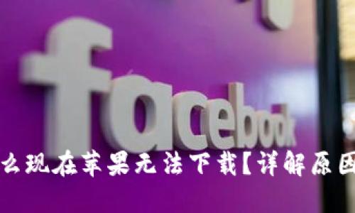 TP钱包为什么现在苹果无法下载？详解原因与解决方案