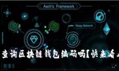 你知道怎样查询区块链钱