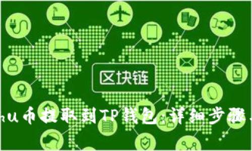 如何将Kishu币提取到TP钱包：详细步骤与注意事项