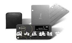 如何选择合适的国内区块