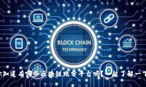 你知道有哪些区块链跑分平台吗？一起了解一下！