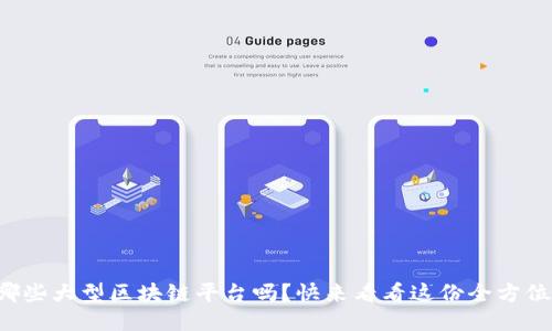 你知道哪些大型区块链平台吗？快来看看这份全方位的大全！