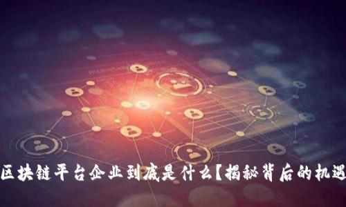 海南的区块链平台企业到底是什么？揭秘背后的机遇与挑战