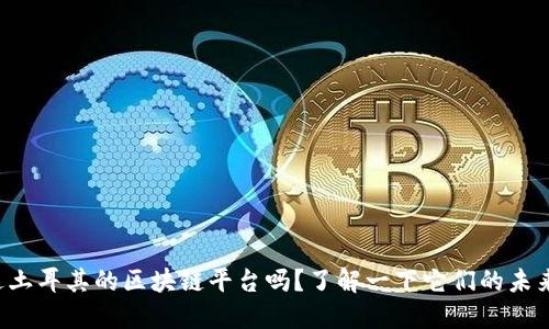 你听说过土耳其的区块链平台吗？了解一下它们的未来潜力吧！