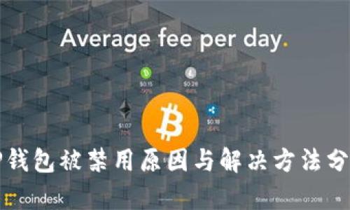 TP钱包被禁用原因与解决方法分析