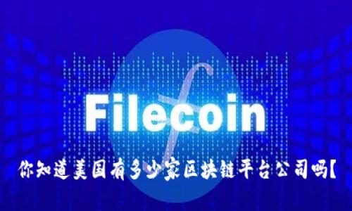 你知道美国有多少家区块链平台公司吗？