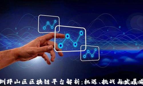 
深圳坪山区区块链平台解析：机遇、挑战与发展前景