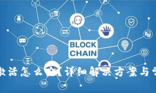 : TP钱包未激活怎么办？详细解决方案与常见问题解析