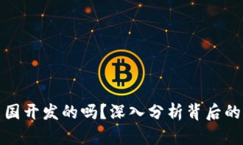 TP钱包是中国开发的吗？深入分析背后的团队与市场