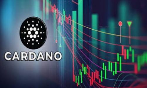 

如何在TP钱包中查看所购加密币的单价