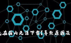 为什么TP钱包在国内无法下