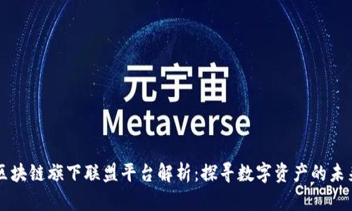 区块链旗下联盟平台解析：探寻数字资产的未来