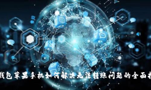 TP钱包苹果手机如何解决无法转账问题的全面指南