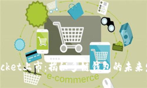 TokenPocket上市：揭秘多链钱包的未来发展之路