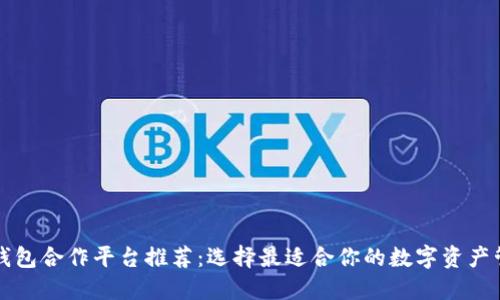 区块链钱包合作平台推荐：选择最适合你的数字资产管理工具