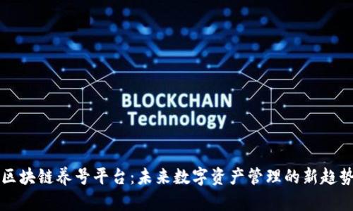 区块链养号平台：未来数字资产管理的新趋势