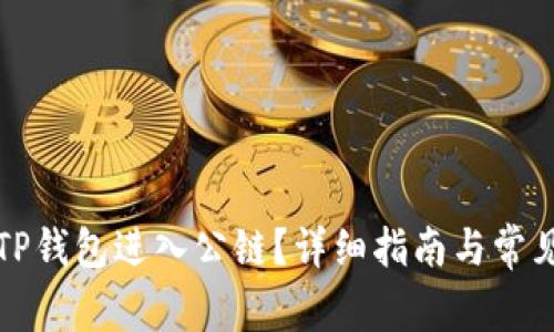 如何使用TP钱包进入公链？详细指南与常见问题解析