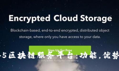 全面解析145区块链服务平台：功能，优势与未来发展