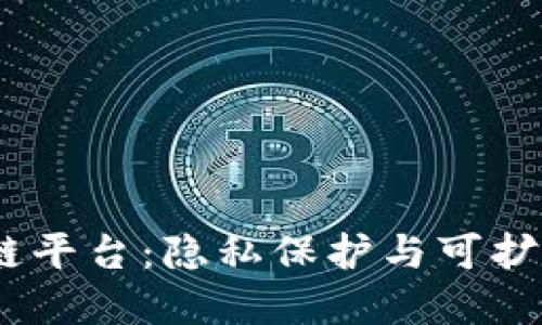 探秘Oasis区块链平台：隐私保护与可扩展性的完美结合