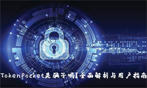 TokenPocket是骗子吗？全面解析与用户指南