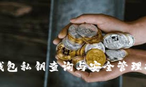 TP钱包私钥查询与安全管理指南