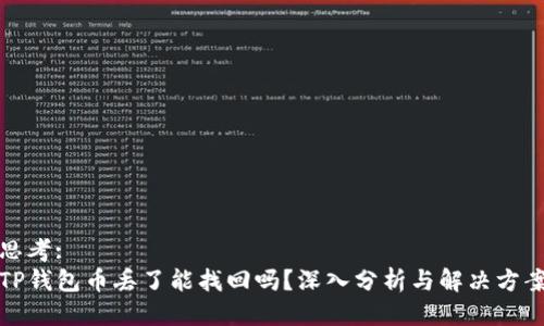 思考:  
TP钱包币丢了能找回吗？深入分析与解决方案