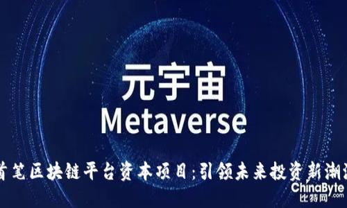 首笔区块链平台资本项目：引领未来投资新潮流