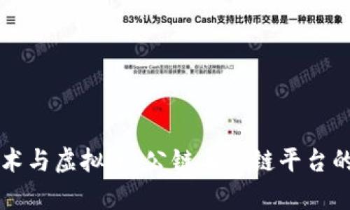 区块链技术与虚拟币：公链与私链平台的全面解析