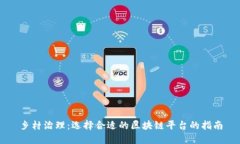 乡村治理：选择合适的区