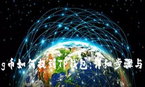 抹茶的Pig币如何提到TP钱包：详细步骤与注意事项